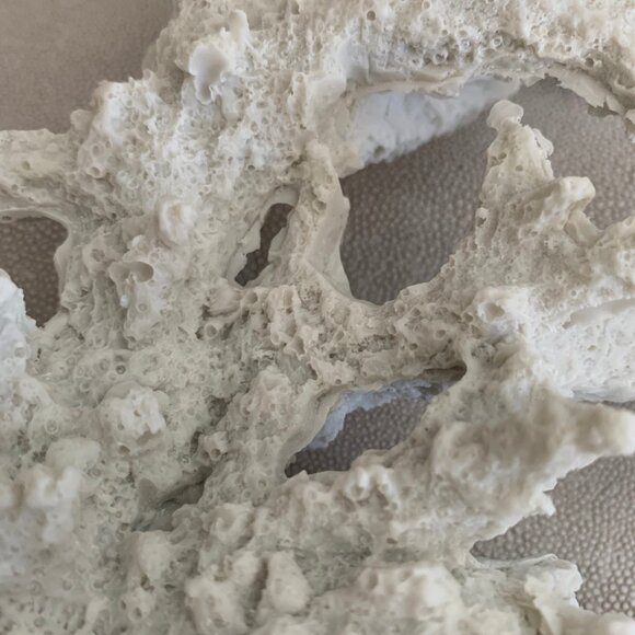 Coral branch decor - Picture 7 of 9